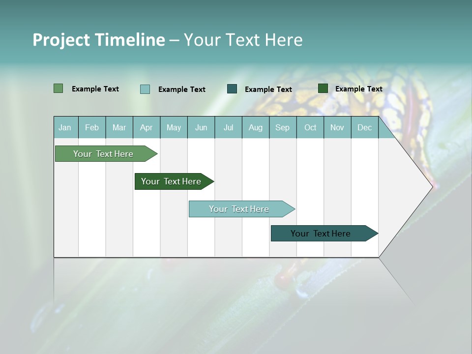 Poison Dart Frog PowerPoint Template