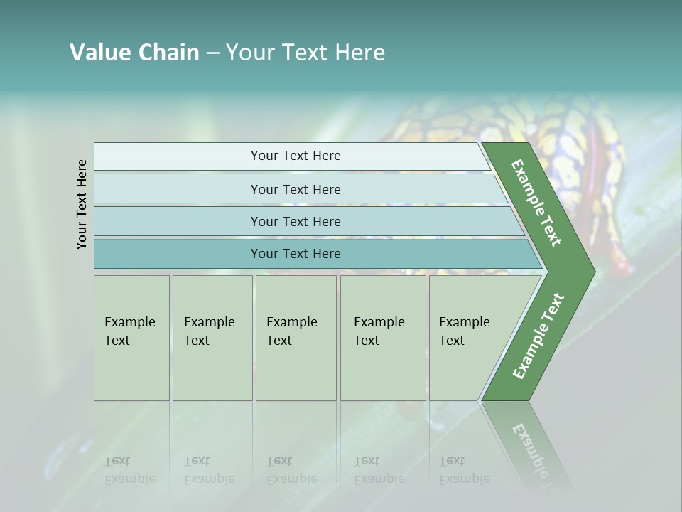 Poison Dart Frog PowerPoint Template
