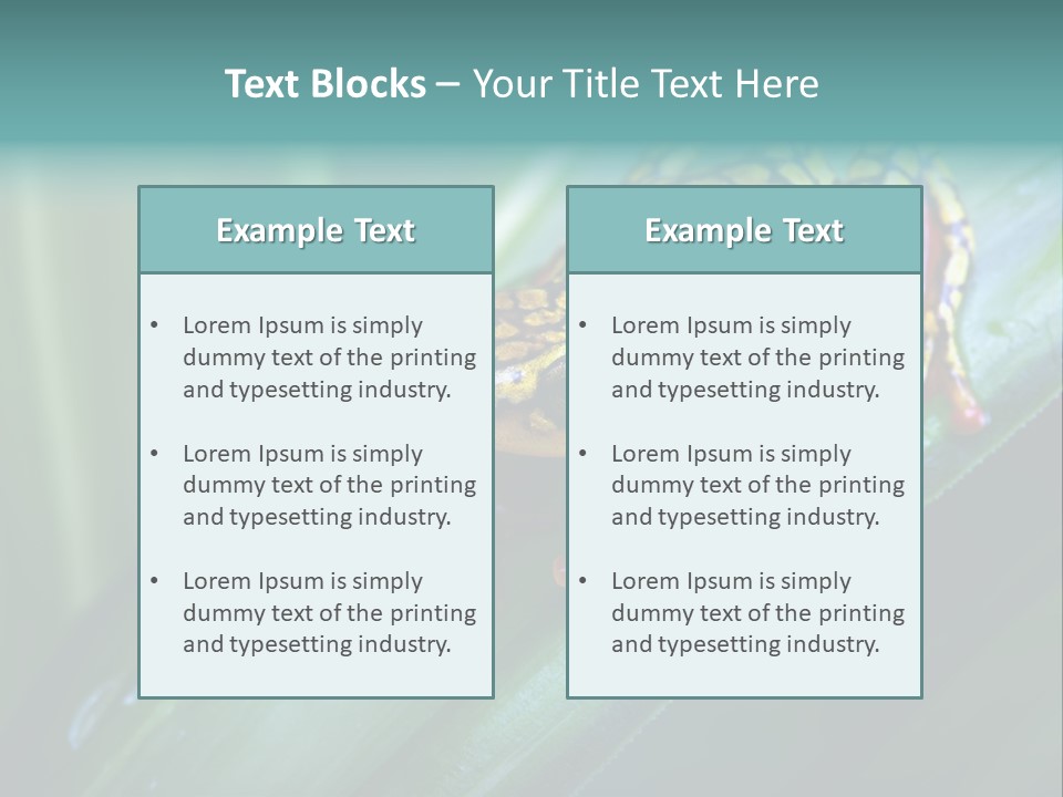Poison Dart Frog PowerPoint Template