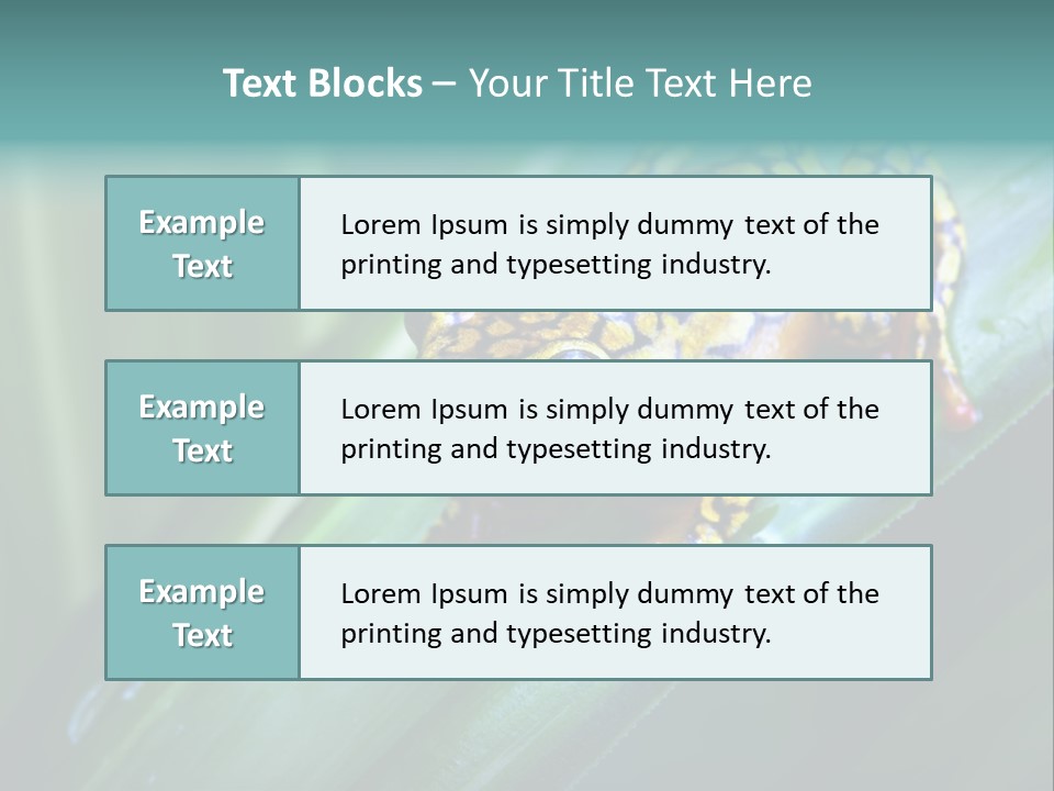 Poison Dart Frog PowerPoint Template