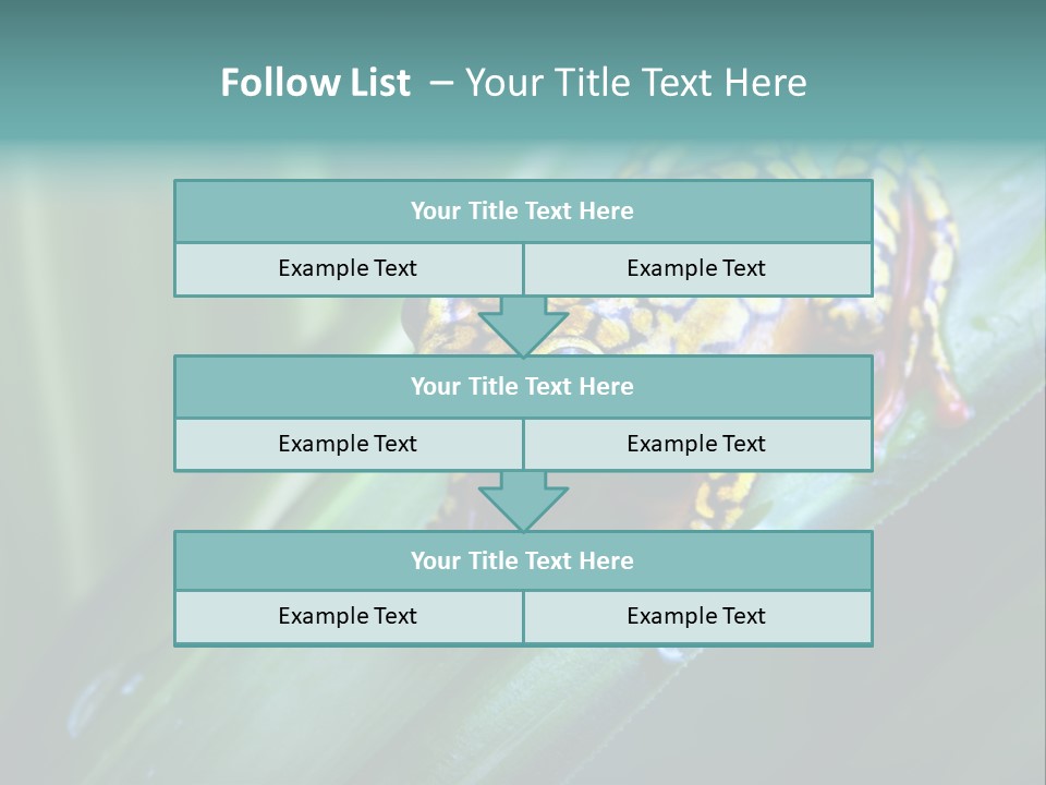 Poison Dart Frog PowerPoint Template
