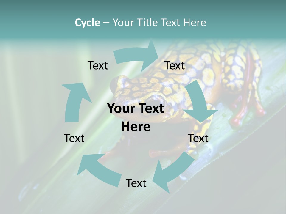 Poison Dart Frog PowerPoint Template