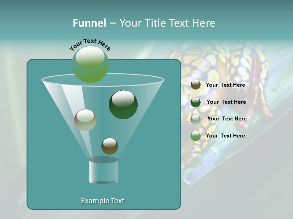 Poison Dart Frog PowerPoint Template