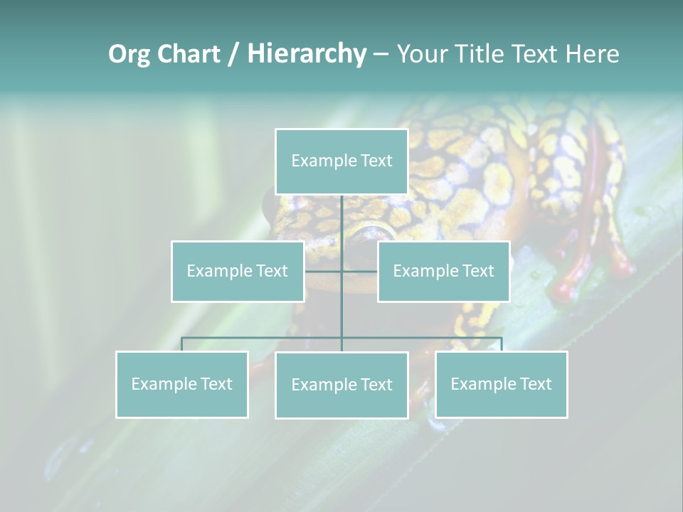 Poison Dart Frog PowerPoint Template