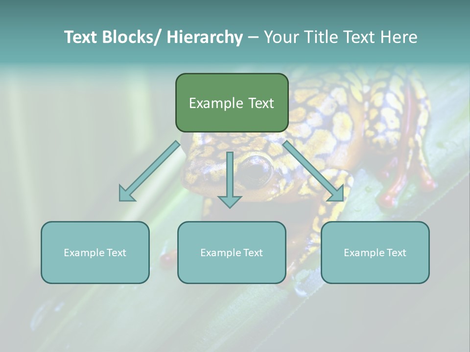 Poison Dart Frog PowerPoint Template