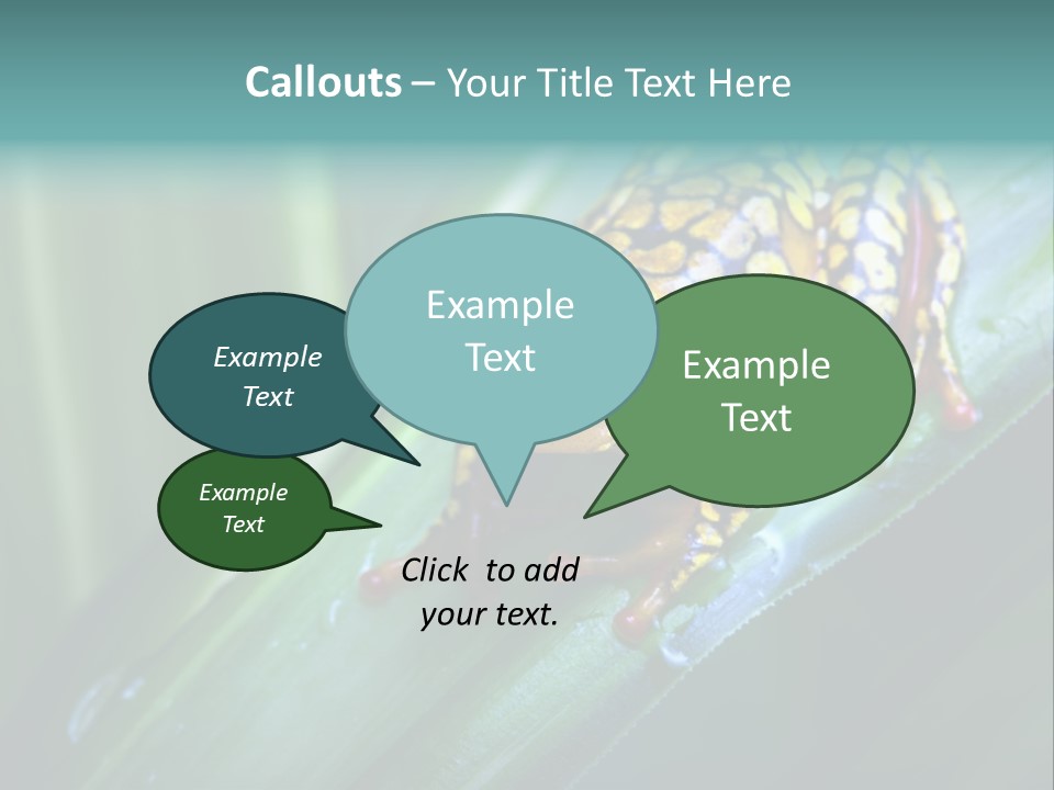 Poison Dart Frog PowerPoint Template