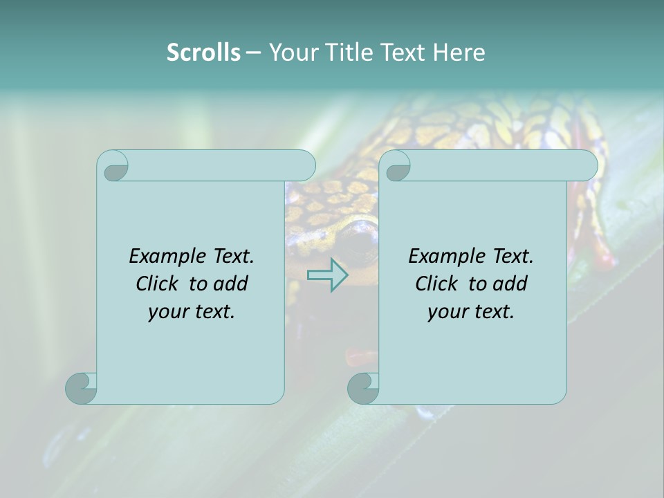 Poison Dart Frog PowerPoint Template