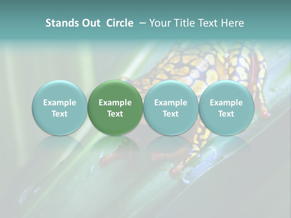 Poison Dart Frog PowerPoint Template