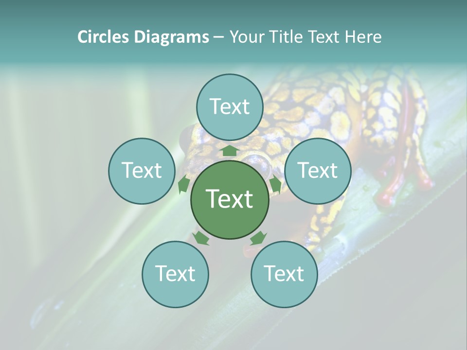 Poison Dart Frog PowerPoint Template