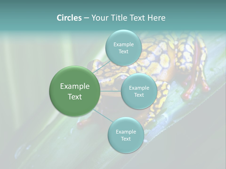 Poison Dart Frog PowerPoint Template