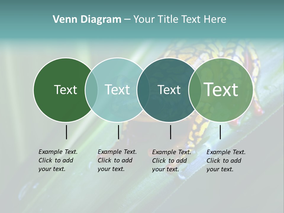 Poison Dart Frog PowerPoint Template