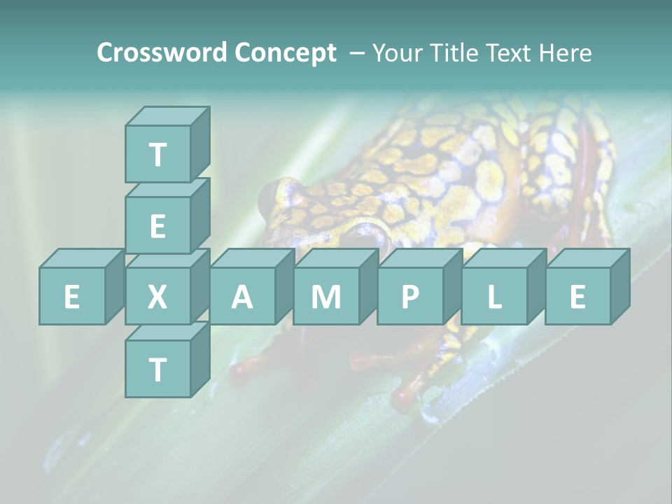 Poison Dart Frog PowerPoint Template