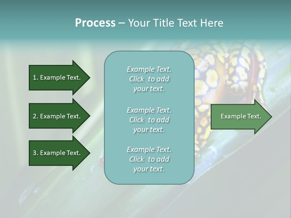 Poison Dart Frog PowerPoint Template