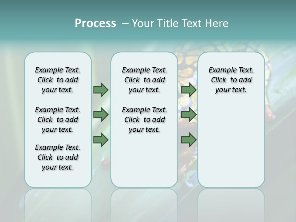 Poison Dart Frog PowerPoint Template