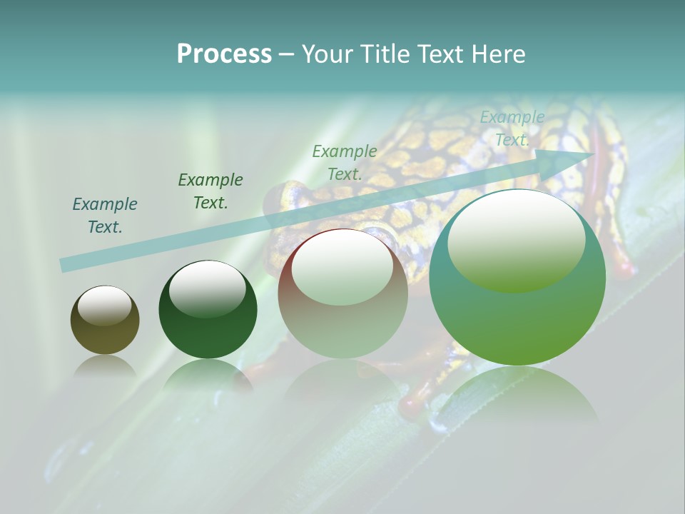 Poison Dart Frog PowerPoint Template