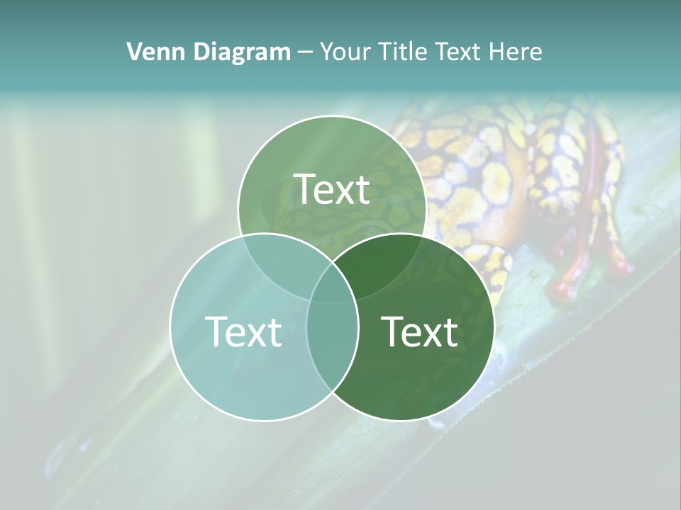 Poison Dart Frog PowerPoint Template