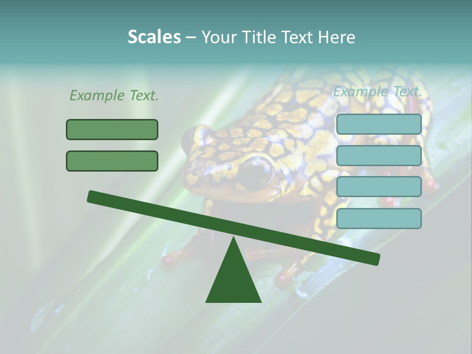 Poison Dart Frog PowerPoint Template