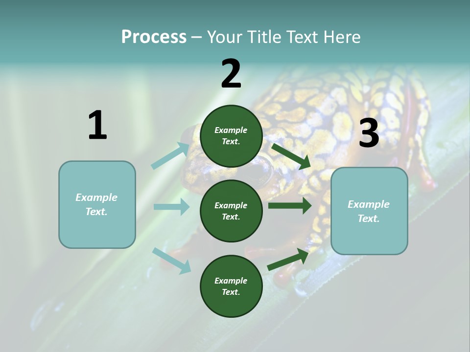 Poison Dart Frog PowerPoint Template
