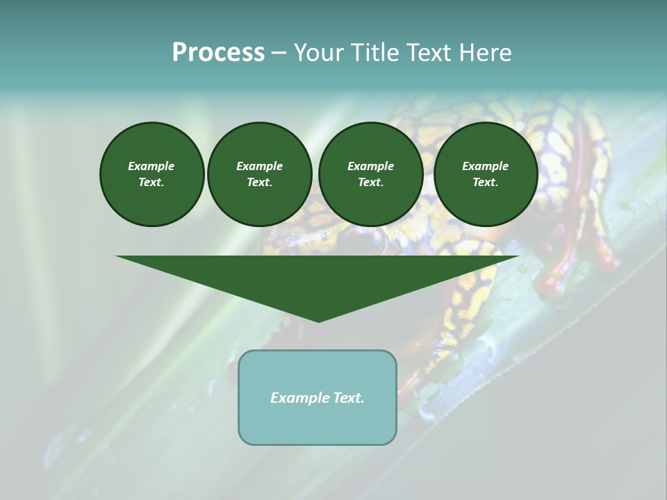 Poison Dart Frog PowerPoint Template