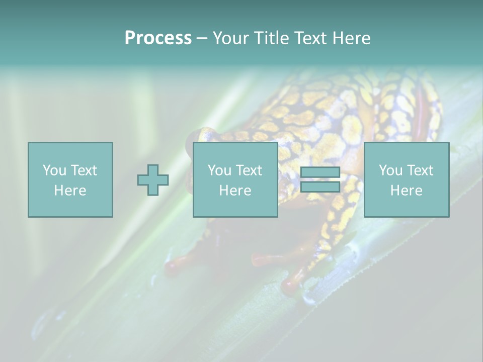 Poison Dart Frog PowerPoint Template