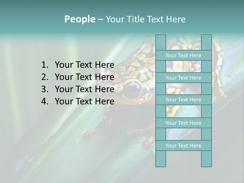 Poison Dart Frog PowerPoint Template