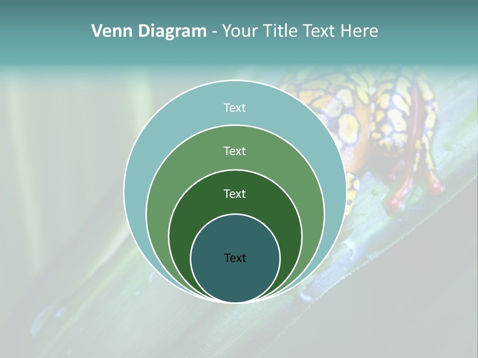 Poison Dart Frog PowerPoint Template