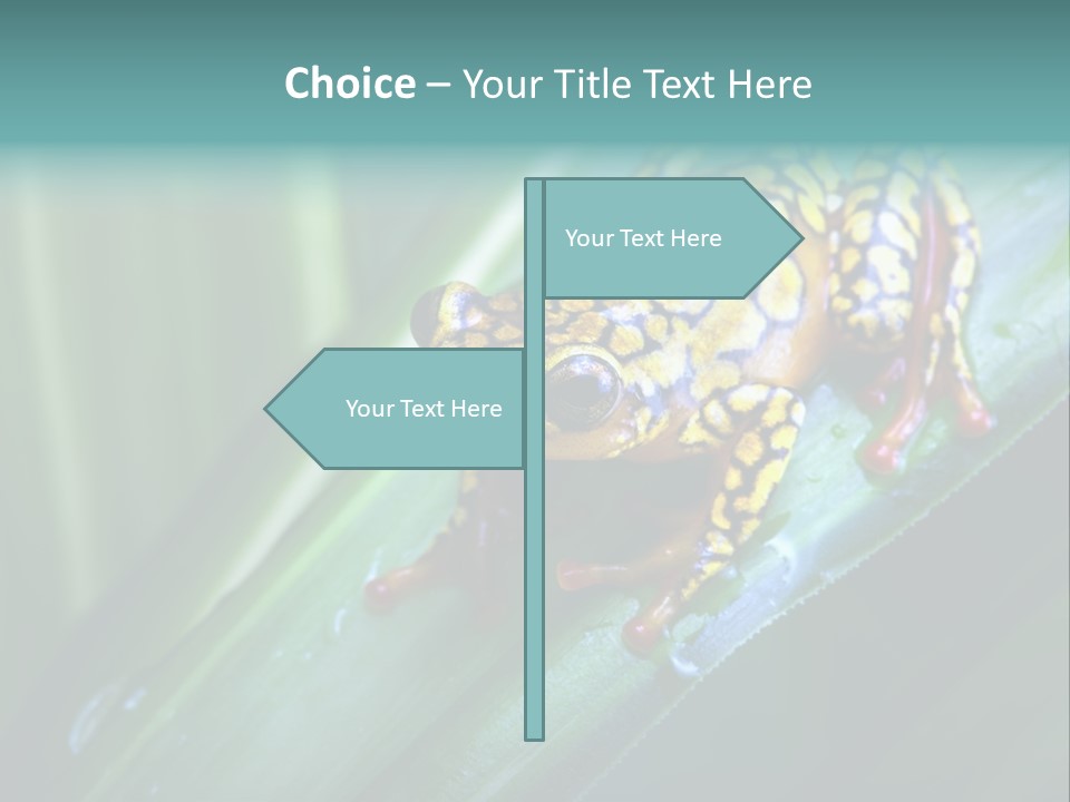 Poison Dart Frog PowerPoint Template