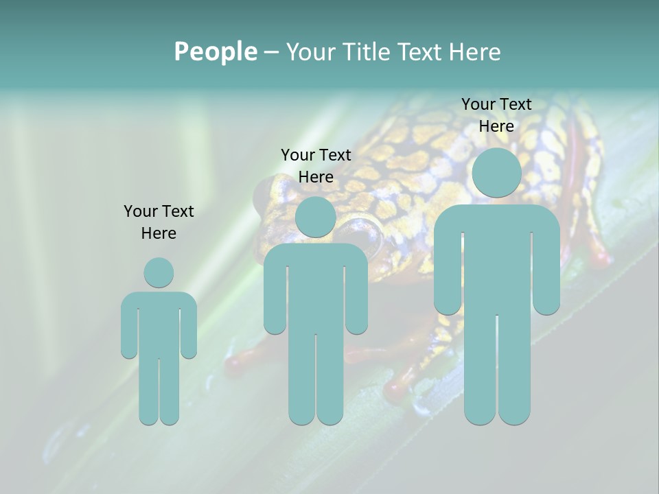 Poison Dart Frog PowerPoint Template