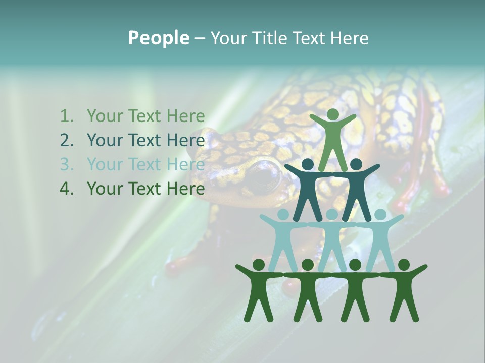 Poison Dart Frog PowerPoint Template