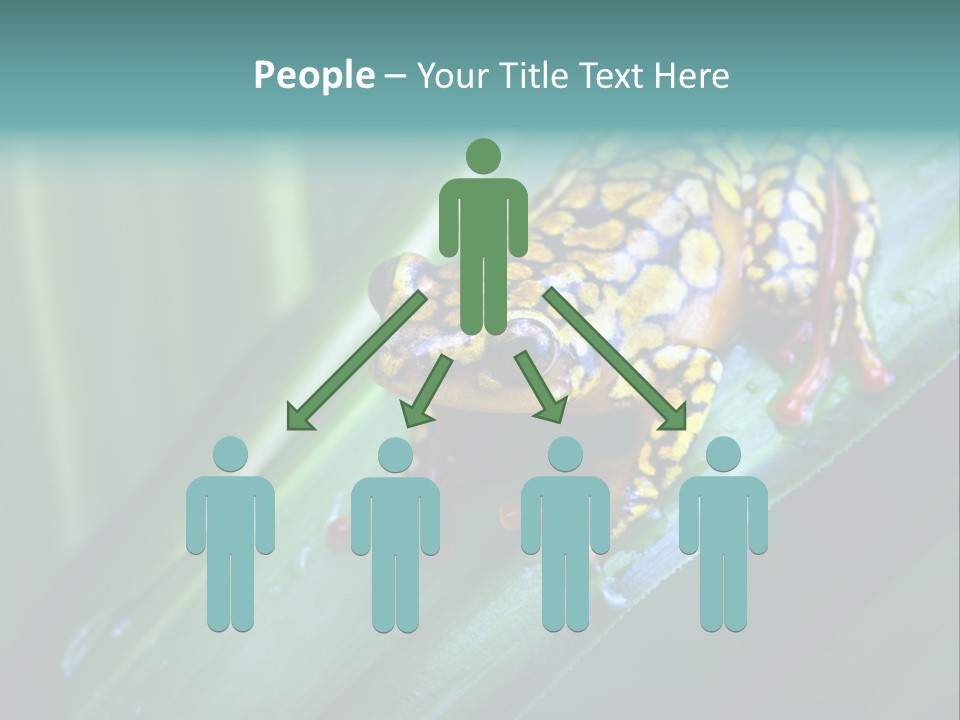 Poison Dart Frog PowerPoint Template