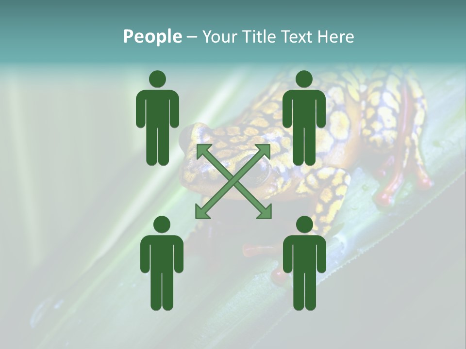 Poison Dart Frog PowerPoint Template