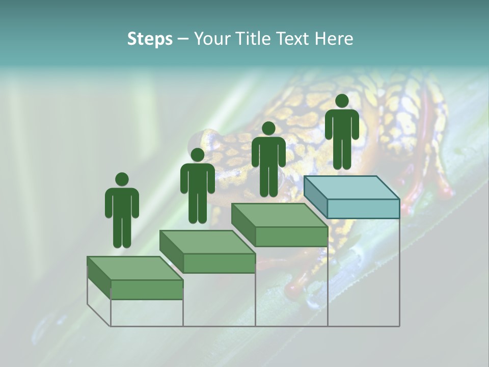 Poison Dart Frog PowerPoint Template