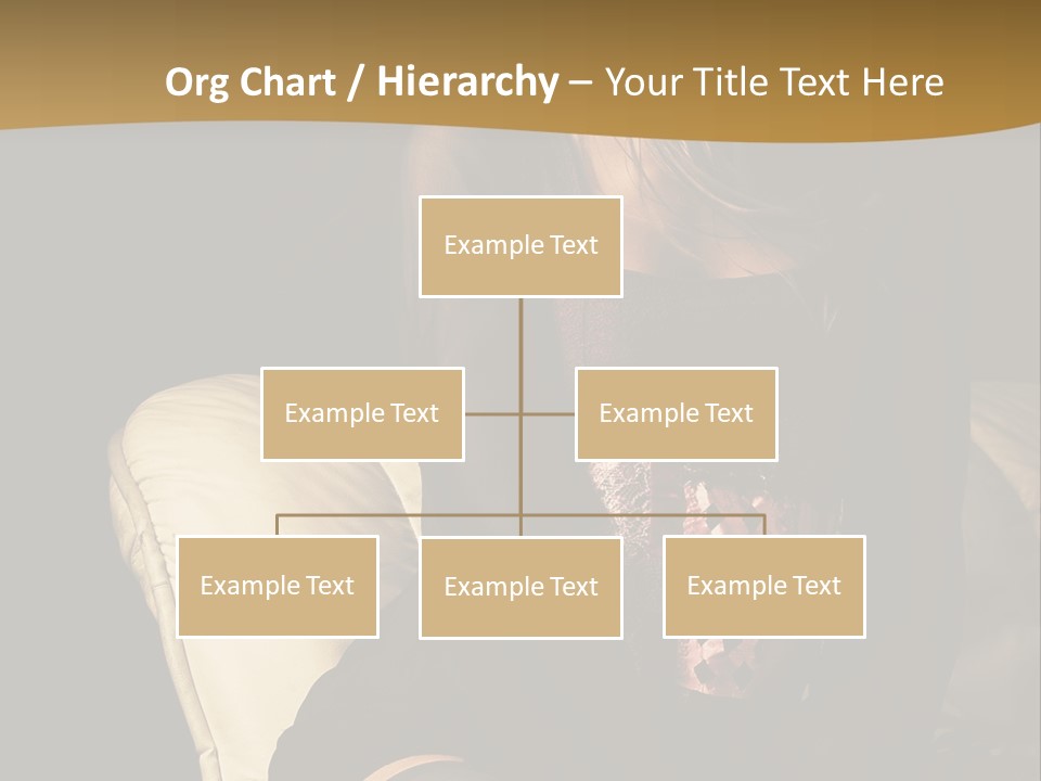 House Affair PowerPoint Template