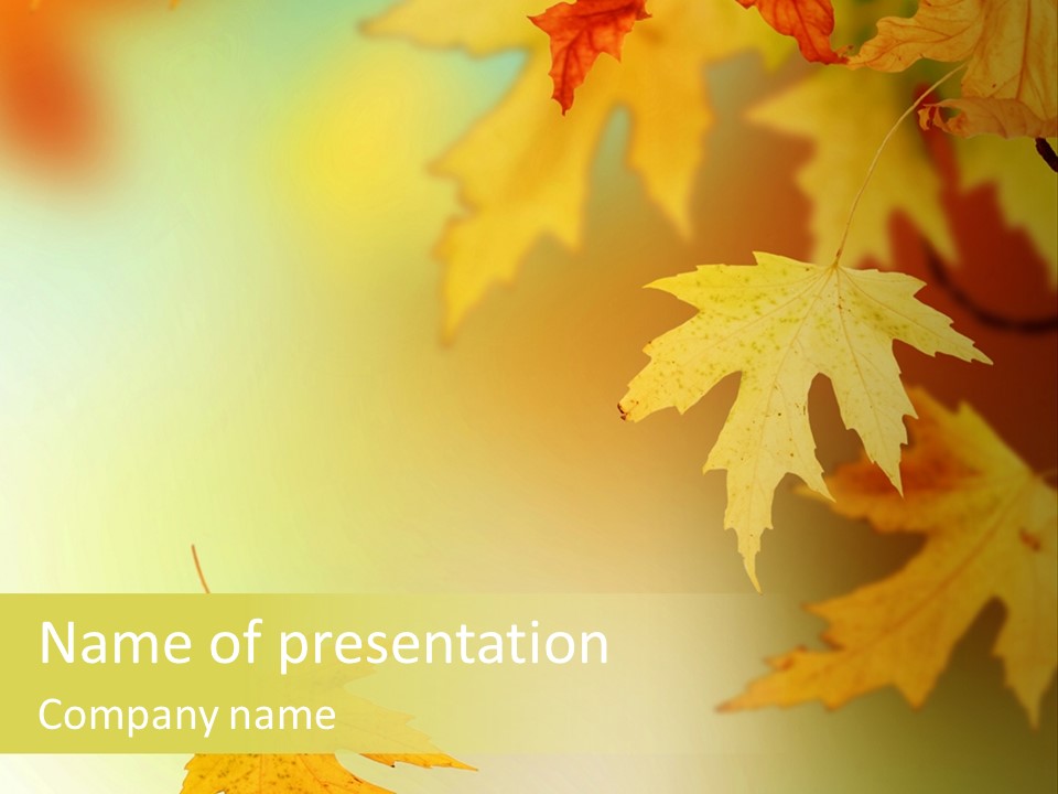 Texture Gold Element PowerPoint Template