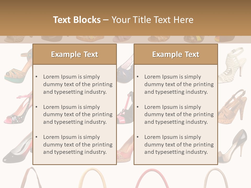 Ladies Shoes And Bags PowerPoint Template