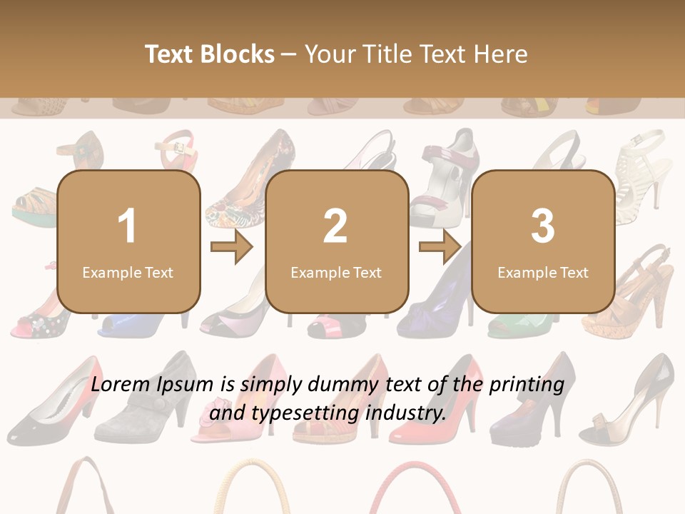 Ladies Shoes And Bags PowerPoint Template