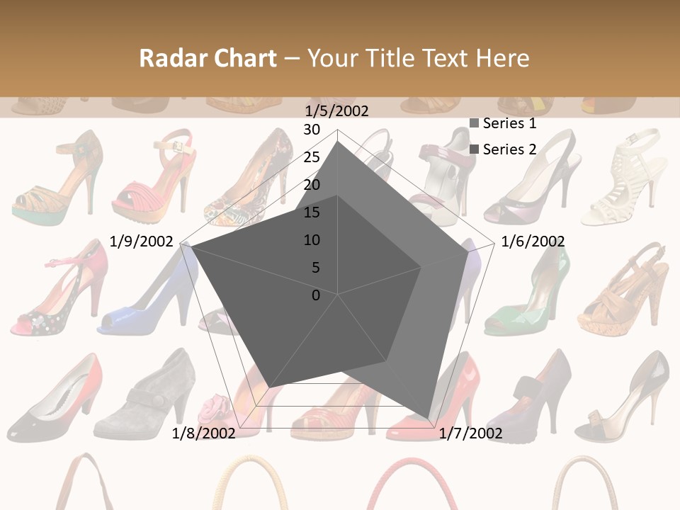 Ladies Shoes And Bags PowerPoint Template