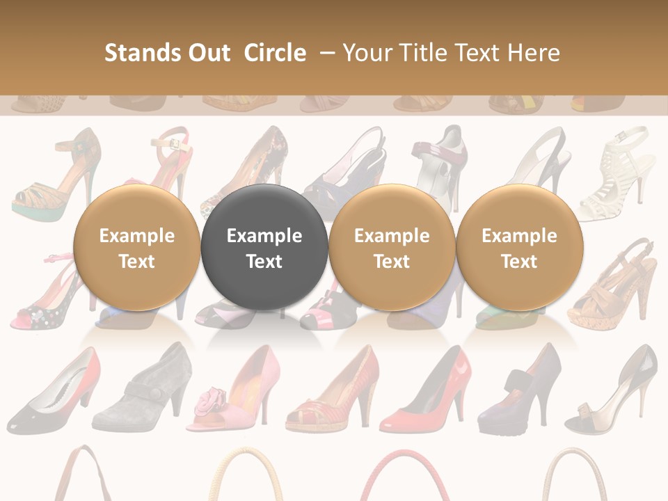 Ladies Shoes And Bags PowerPoint Template