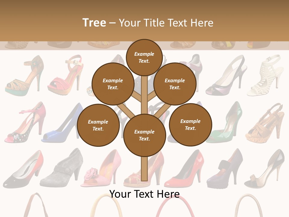 Ladies Shoes And Bags PowerPoint Template