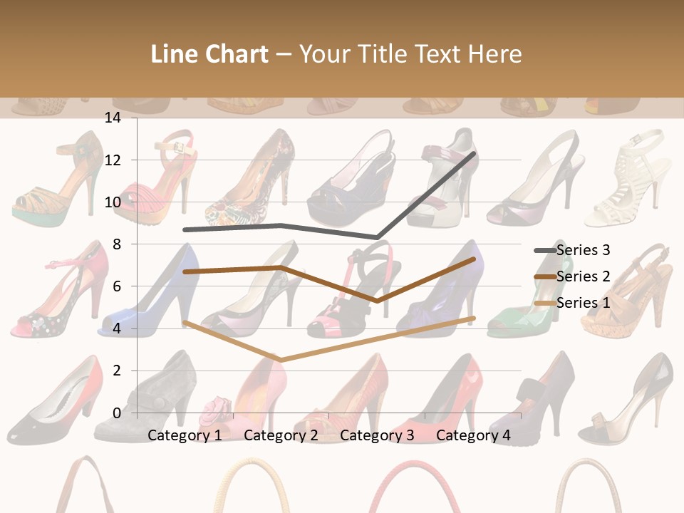 Ladies Shoes And Bags PowerPoint Template