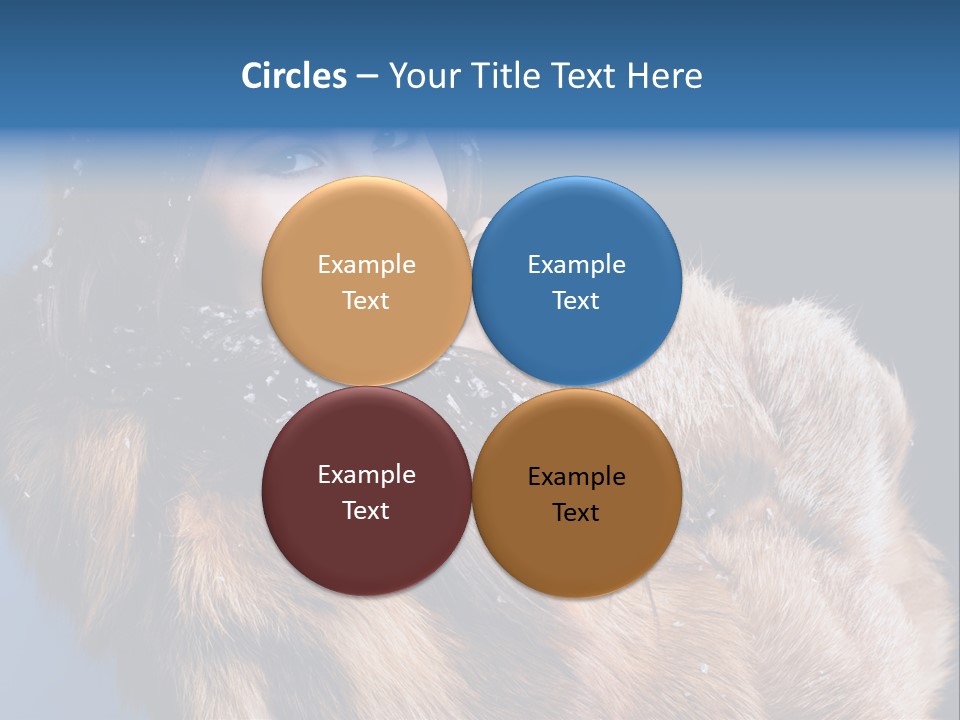 Beautiful Woman In Fur PowerPoint Template