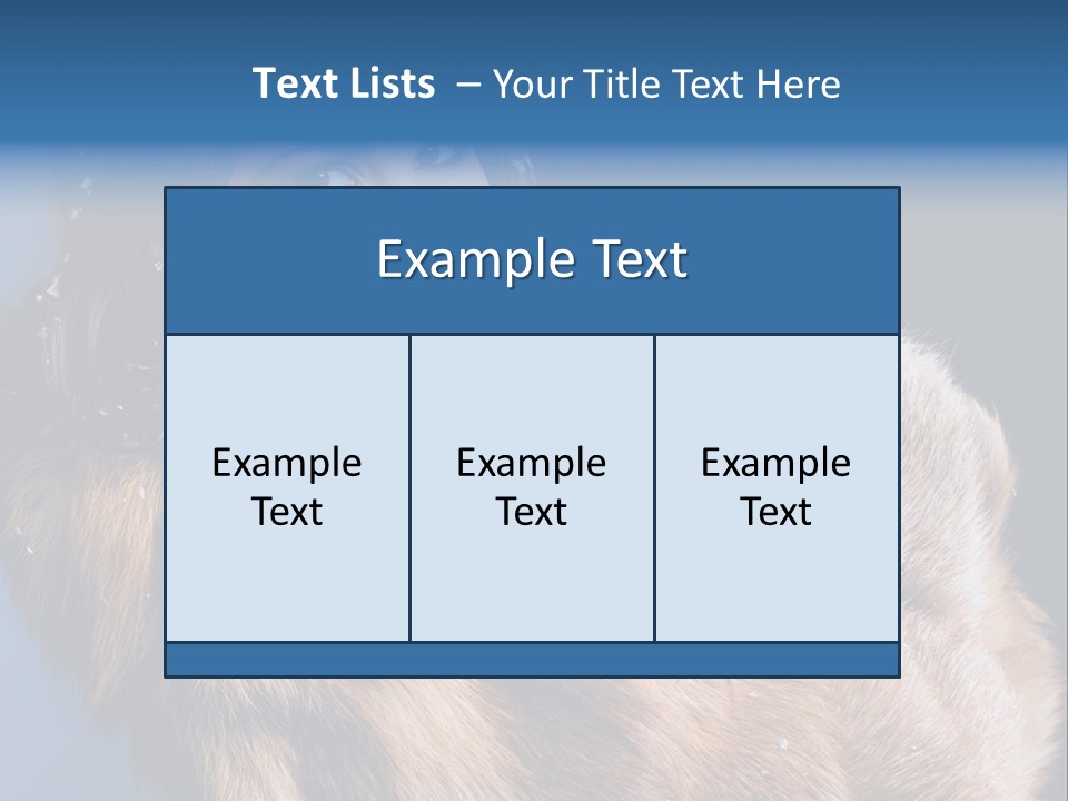 Beautiful Woman In Fur PowerPoint Template