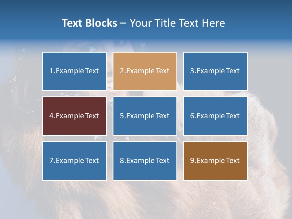 Beautiful Woman In Fur PowerPoint Template