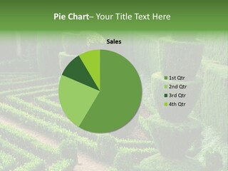 Buxus Sempervirens PowerPoint Template