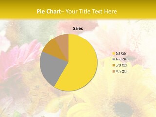 Sunshine & Flowers PowerPoint Template