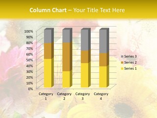 Sunshine & Flowers PowerPoint Template