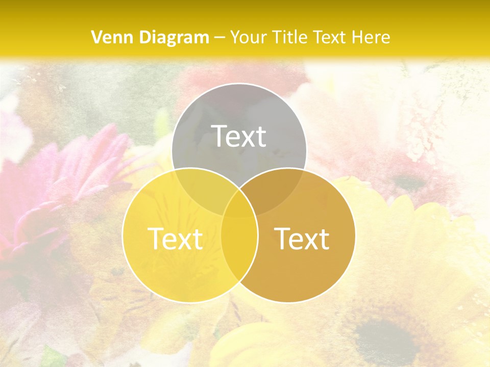 Sunshine & Flowers PowerPoint Template