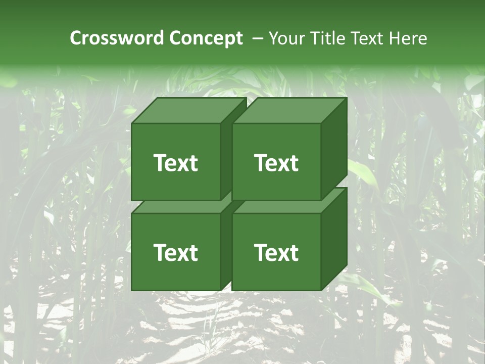 Inside A Corn Field PowerPoint Template