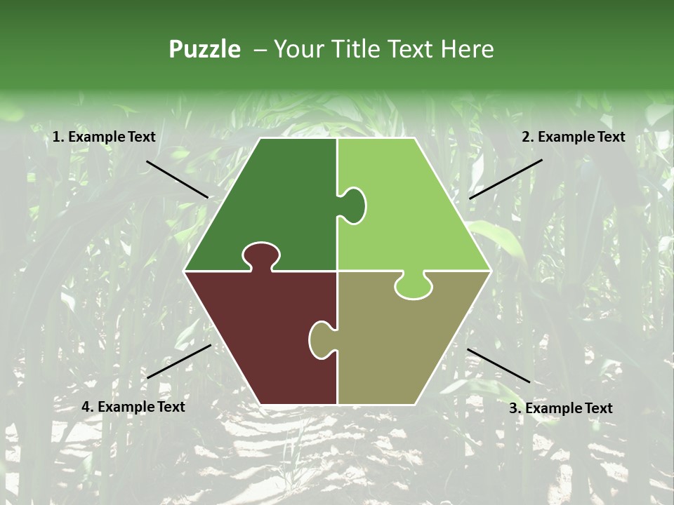 Inside A Corn Field PowerPoint Template