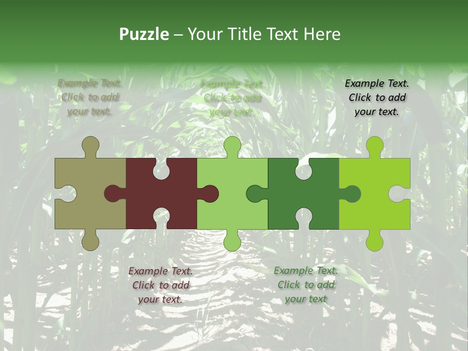 Inside A Corn Field PowerPoint Template